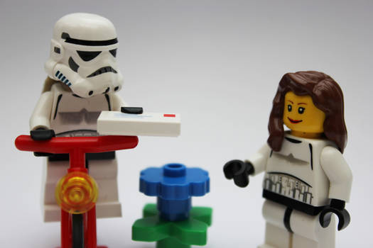 LEGO: Secret Admirer