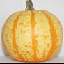 Pumpkin 002