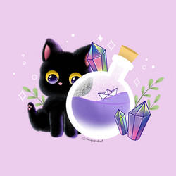 Black Cat with Potion Bottle and Crystals