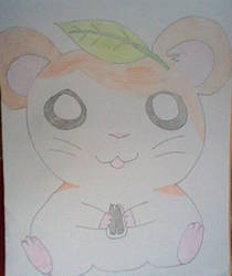 Hamtaro o/