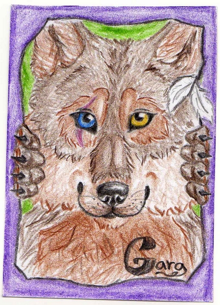 ACEO with Gara