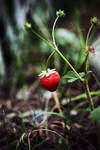 New Life by mxlove