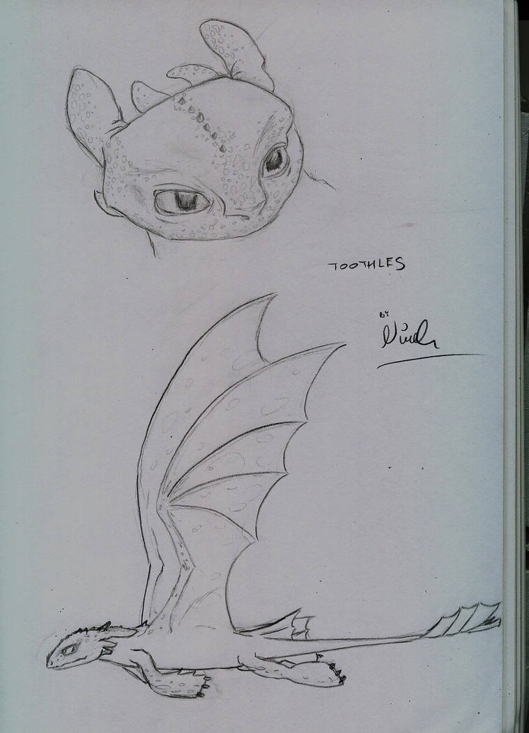 Toothless Large Drawing Toothless Sketch by Oliver-Splane on DeviantArt