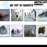 Top 10 Favourite Arctic/Antartctic Animals