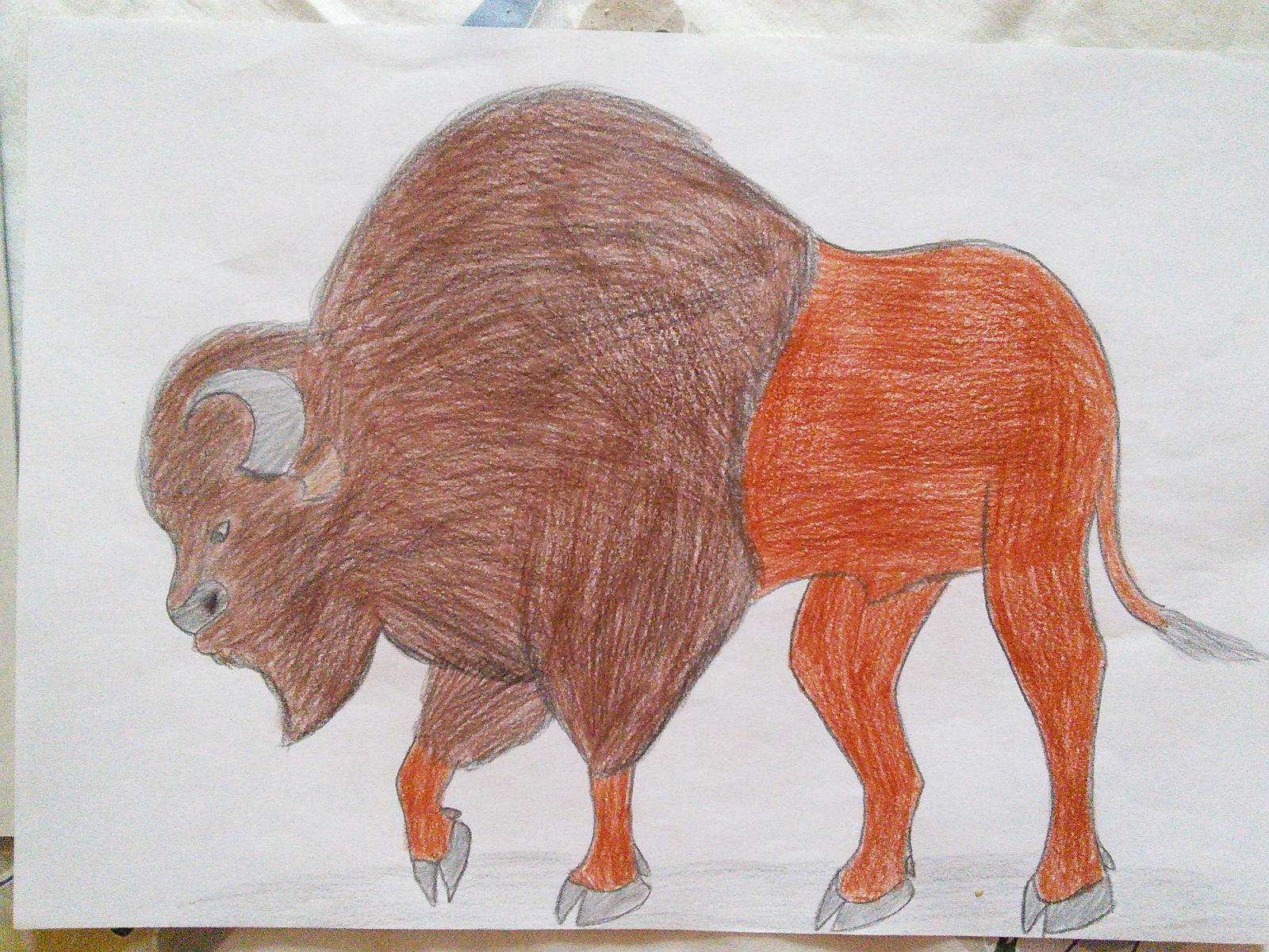 Bison Deviantart Animal Arts - Bison by LinKueiWolf57 on DeviantArt
