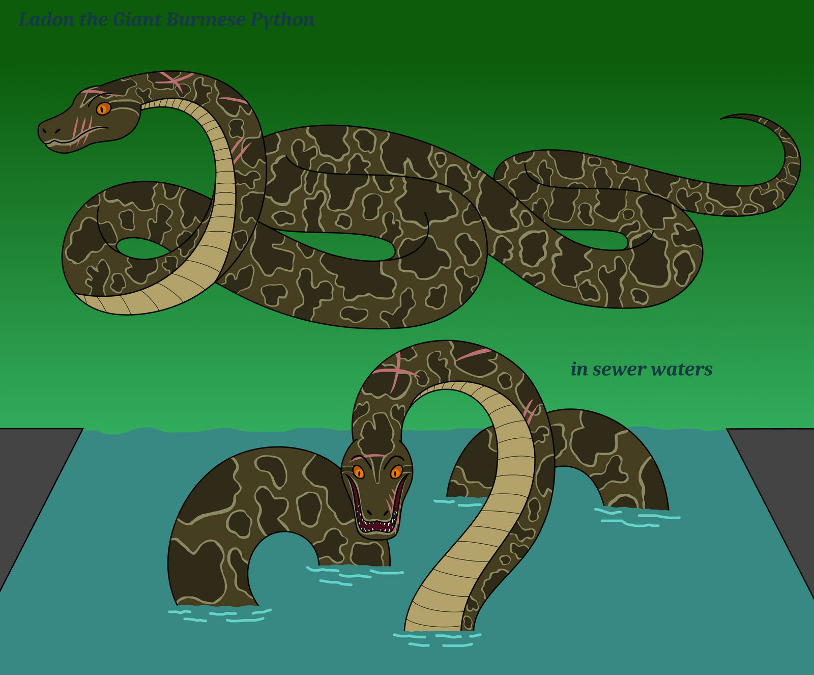 Ladon the Giant Burmese Python by LinKueiWolf57 on DeviantArt