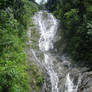 Waterfall Within the Jungle