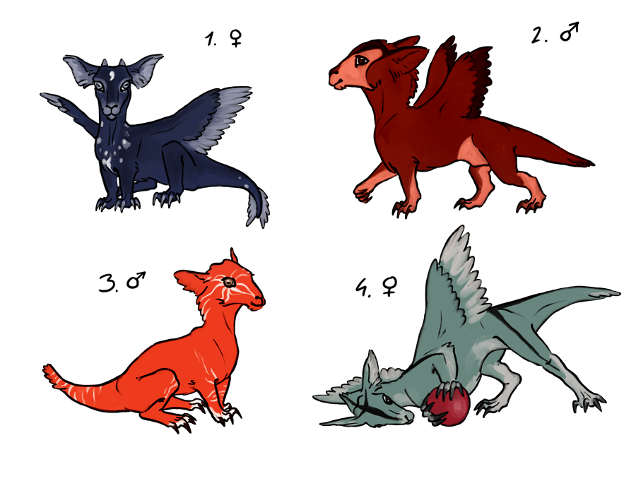 Dragon Adoptables 3