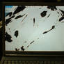 My Shattered Laptop
