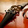 My Violin