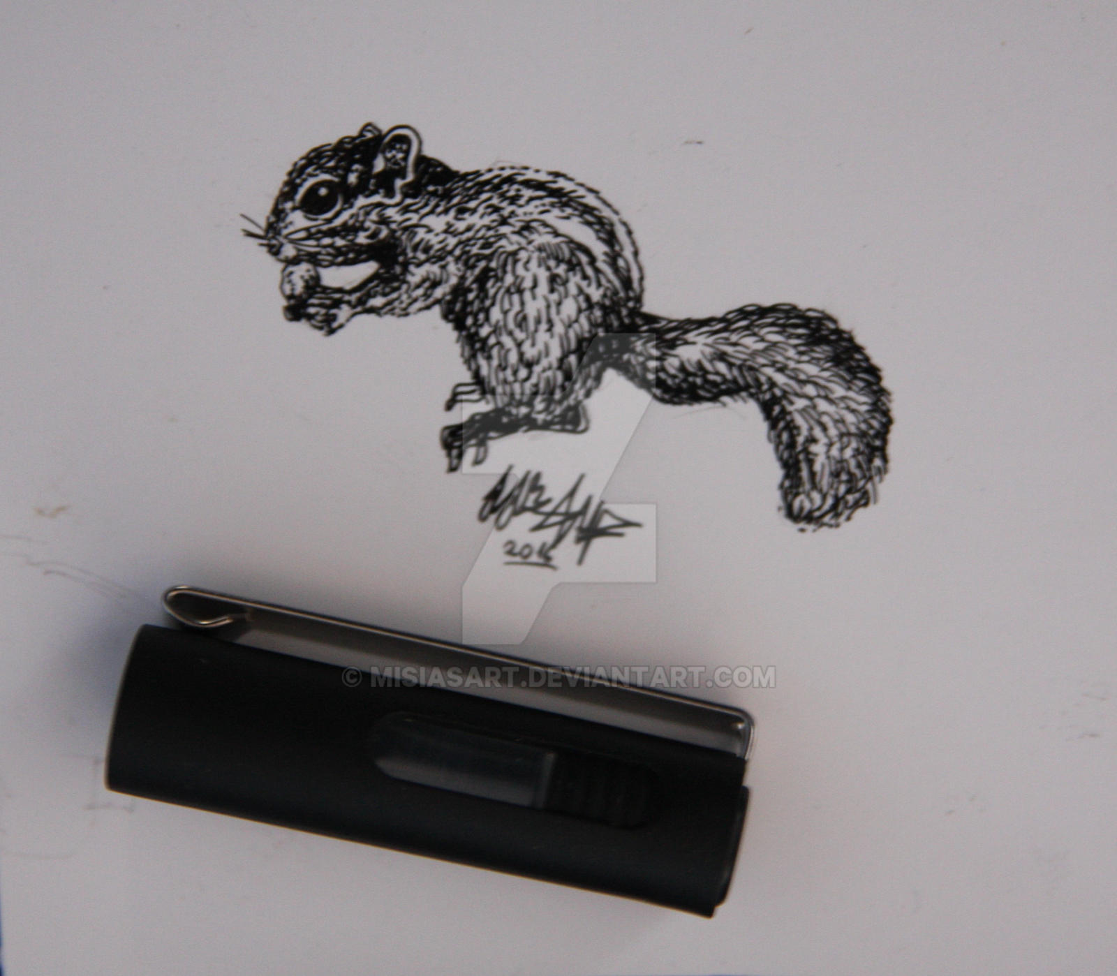 Squirrel Deviantart Squirrel by MisiasArt on DeviantArt