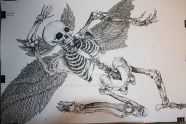 Skeleton I by MisiasArt