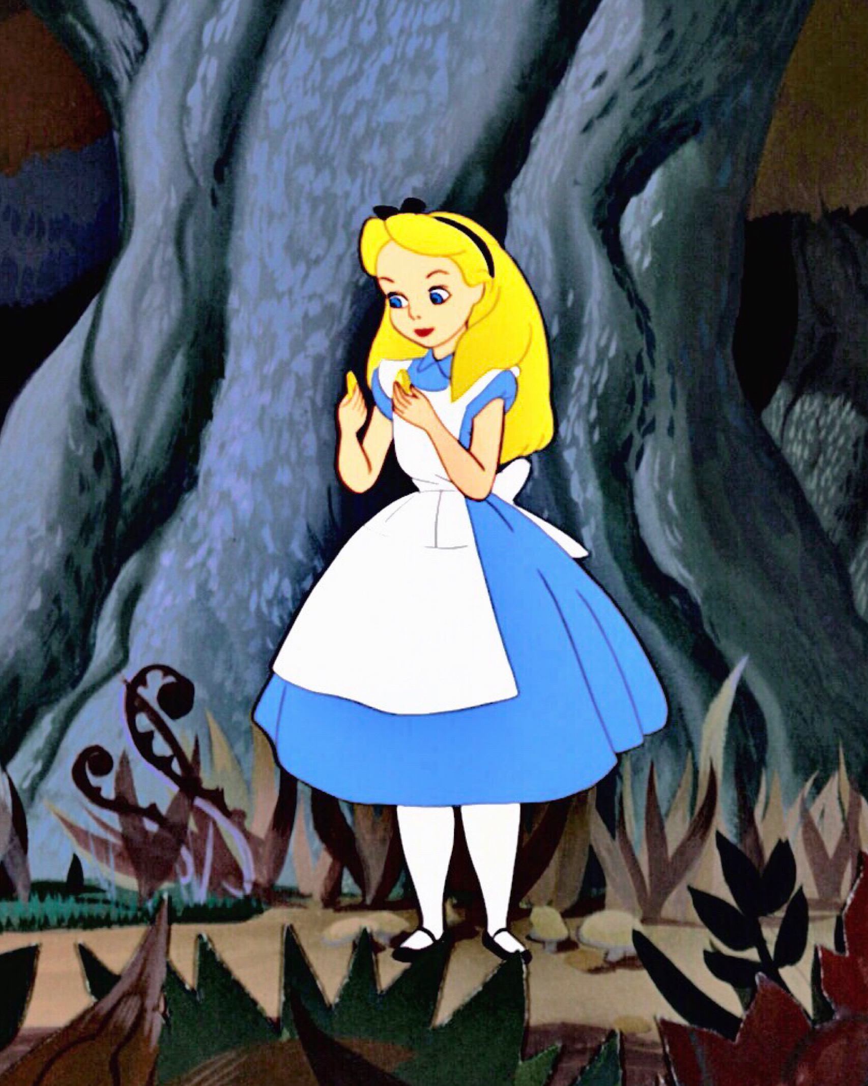 Alice Wonderland by toon1990 on DeviantArt Alice Wonderland by toon1990 on DeviantArt