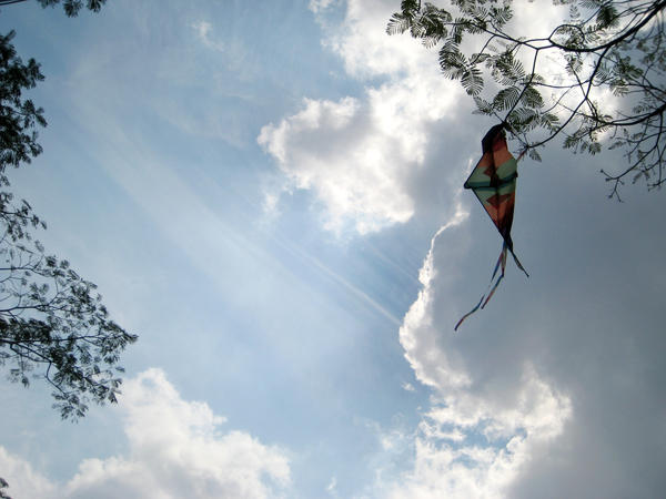 The runaway kite . by mini-meows on DeviantArt