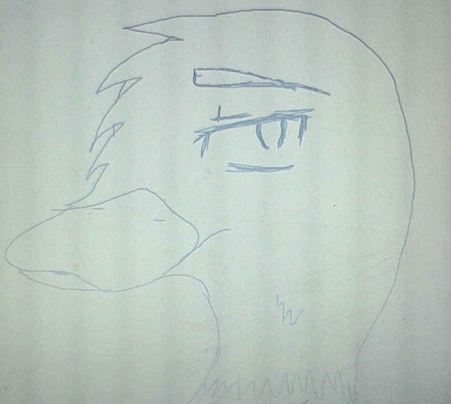 I DREW A GOD DAMN DUCK