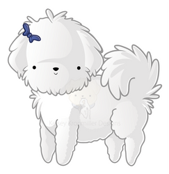 Bichon