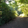 tunnel of serenity