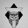 TRIANGLE - OWL