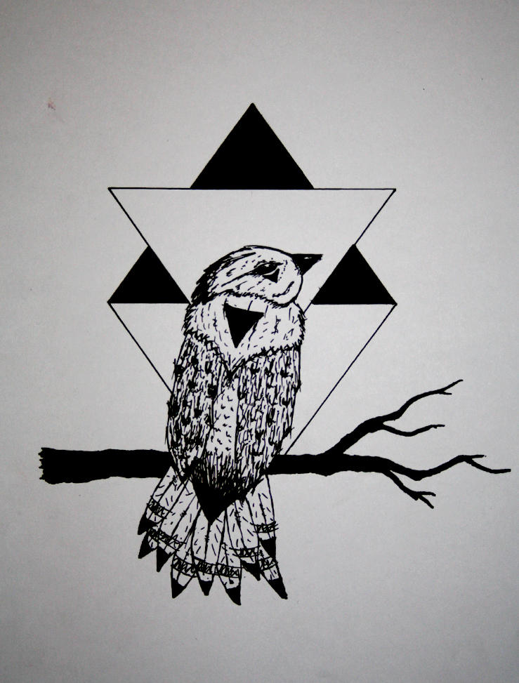 TRIANGLE - BIRD by Arctic-Designs on DeviantArt