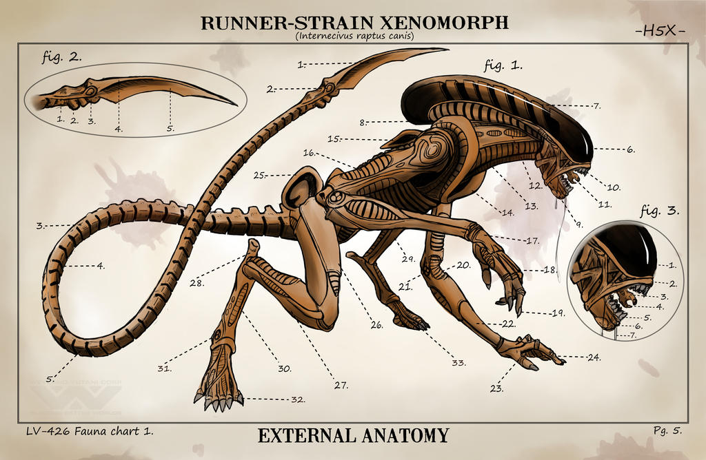 Xenomorph Dog By RoninH5X On DeviantArt xenomorph-dog-by-roninh5x-on-deviantart