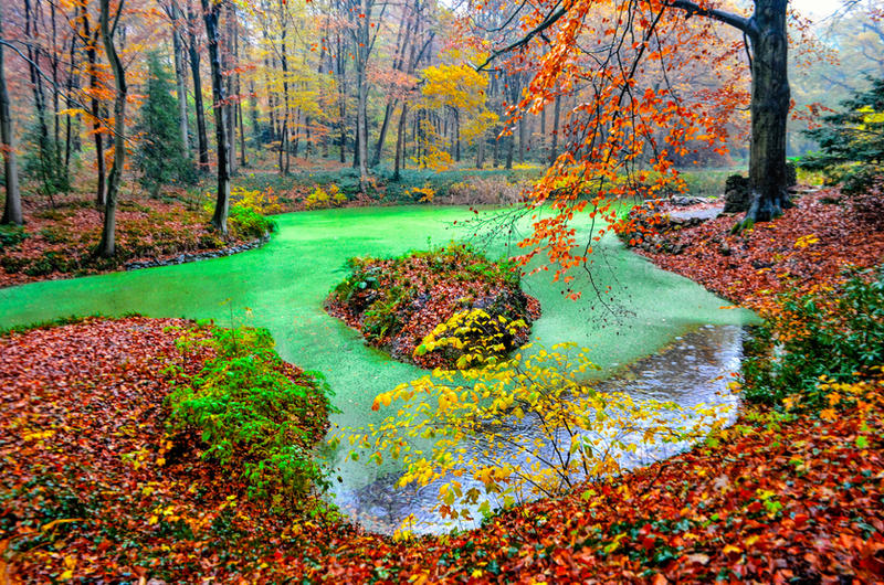 My Favorite Color Is October By Cothoga On DeviantArt My favorite color is october by cothoga on deviantart