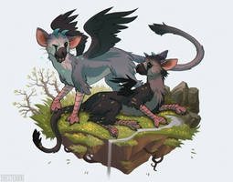 Trico