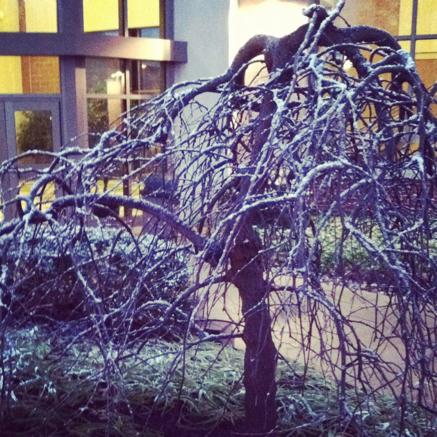 droopy tree by closethoarder on DeviantArt