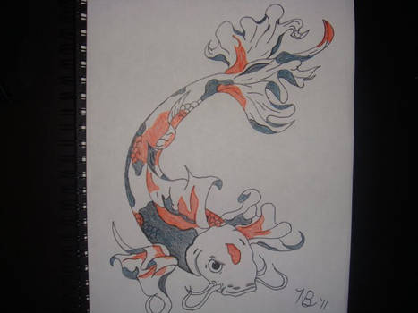 Koi color