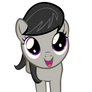 Filly Octavia