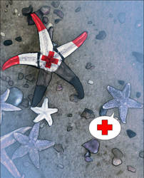 Starfish Medic