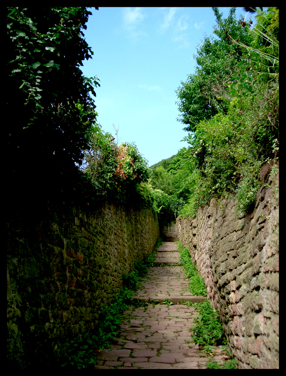 Heidelberger corner