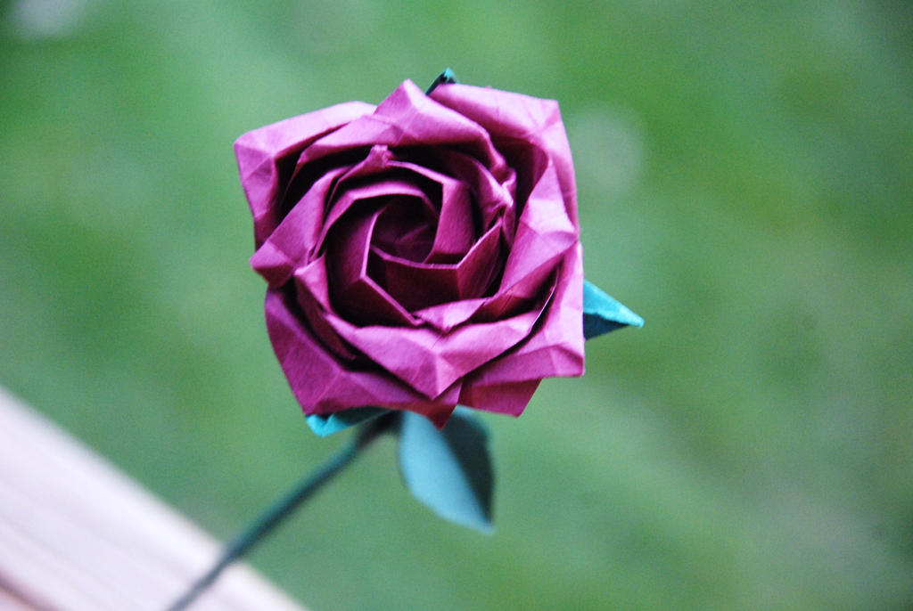 Mizu Rose (Purple)