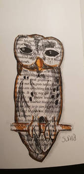 Owl (paper from a book)