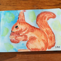 squirrel (watercolor)