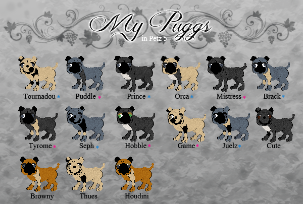 Dogz 5 Dogz 5
