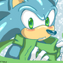 Scarf Sonic