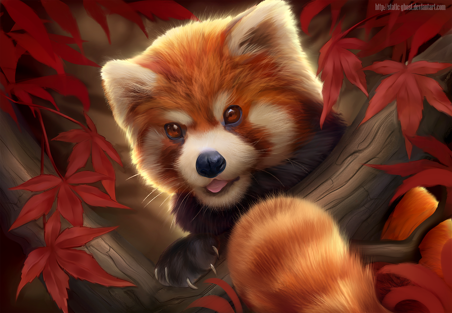 Red panda