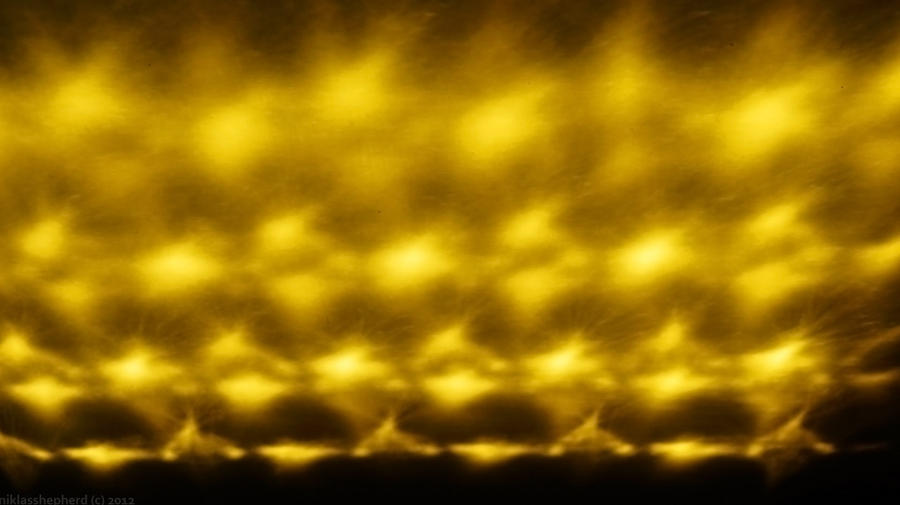 First Yellow Light Yellow Lights by NicolasDominique on DeviantArt