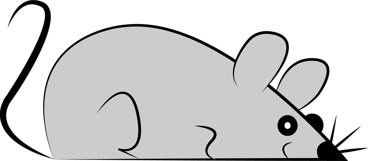 Rato by Jakoops0 on DeviantArt