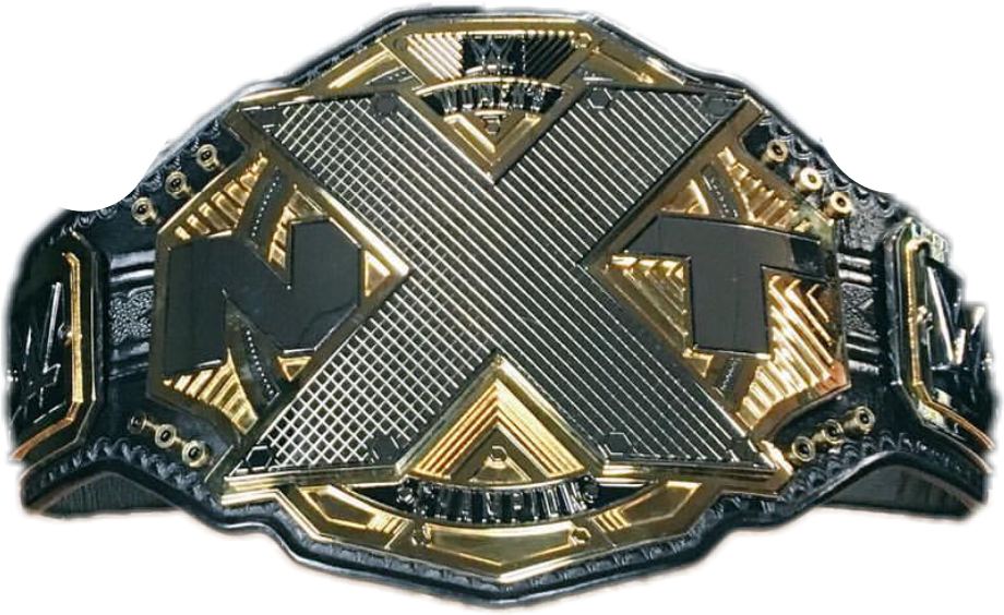Image result for nxt women's champion