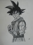 Dragon Ball Goku by trazor29