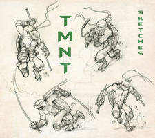 TMNT BROS Sketch