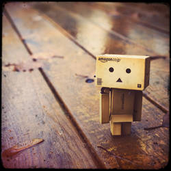 Danbo on a walk 2