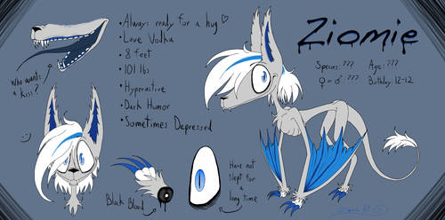Ziomie .: Main Character Reference :.