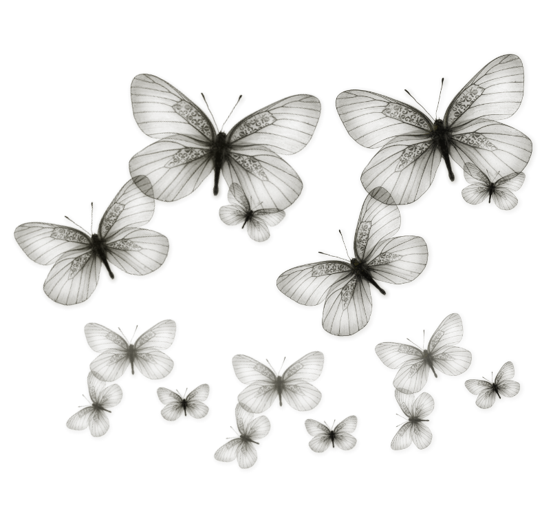 Shadow Butterfly .png