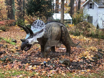 Triceratops indianaensis