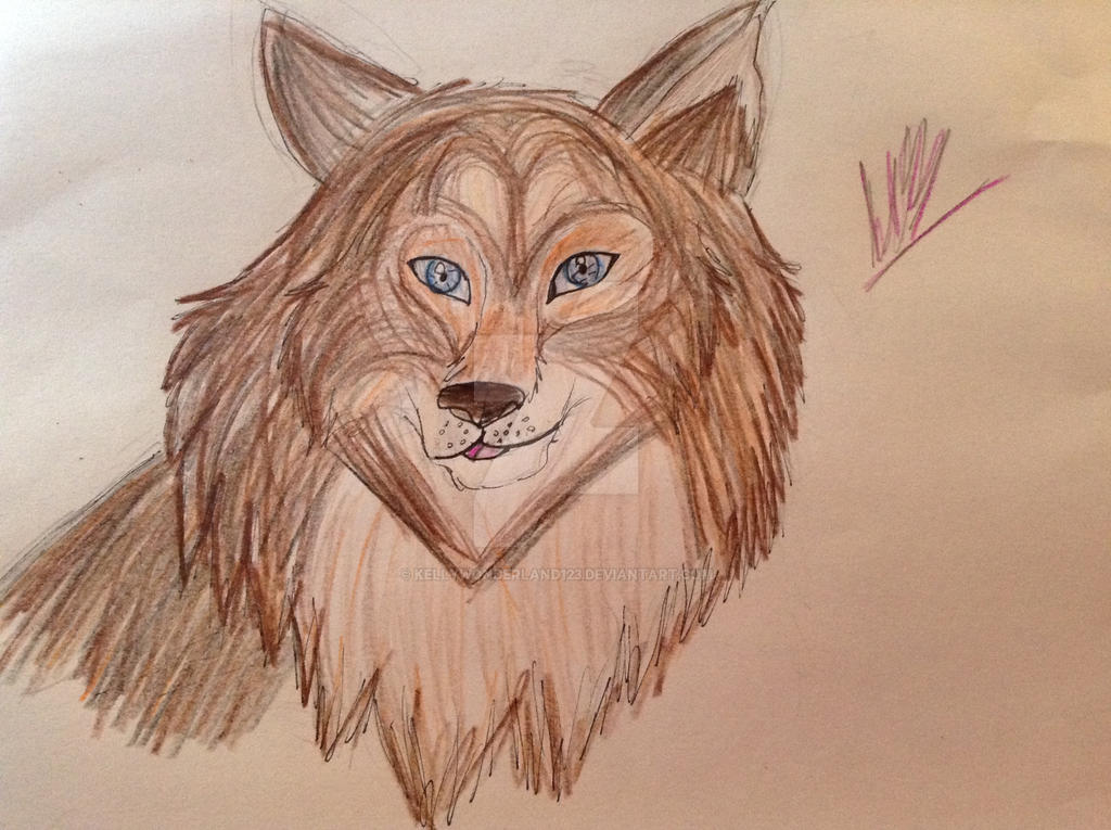 Wolf drawing by Kellywonderland123 on DeviantArt