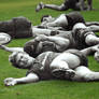 Petrification Of The Rugby Team