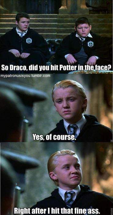 Harry Potter Memes - Harry and Draco.