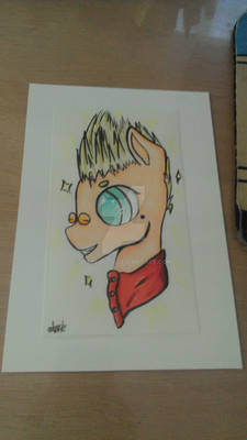 Vash the Stampede MLP